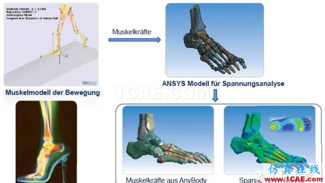 生命中的一天｜CAE仿真無(wú)處不在【轉(zhuǎn)發(fā)】ansys結(jié)構(gòu)分析圖片7