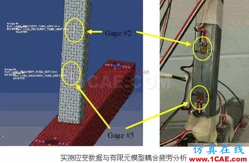 Fe-safe軟件功能介紹fe-Safe仿真分析圖片10