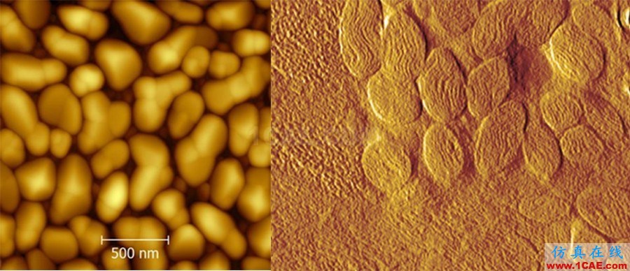 機(jī)械設(shè)計(jì)的高級(jí)境界：四大顯微設(shè)備SEM、TEM、AFM、STM工作原理，看圖說話機(jī)械設(shè)計(jì)圖例圖片21