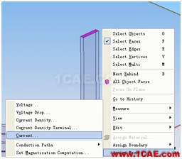 ANSYS Workbench與Ansoft Maxwell 電磁結構耦合案例Maxwell應用技術圖片18