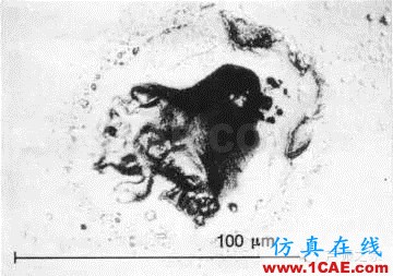 SKF軸承失效分析：失效形式、特征及可能原因機(jī)械設(shè)計(jì)圖片49