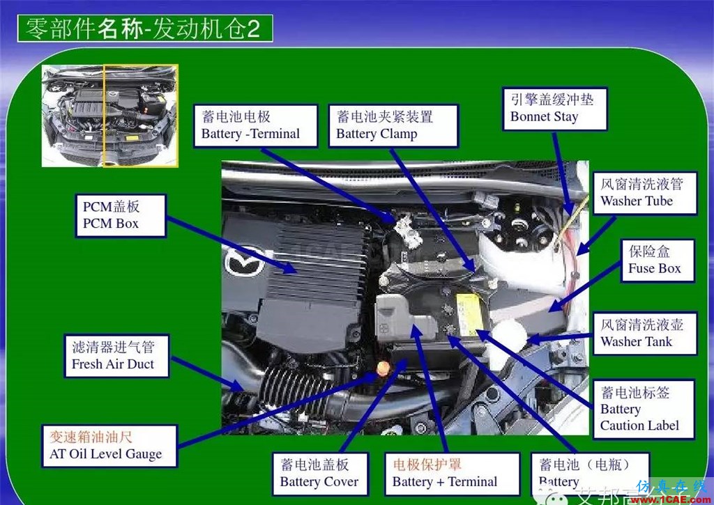 汽車零部件中英文圖解大全（珍藏版）機械設(shè)計圖片13