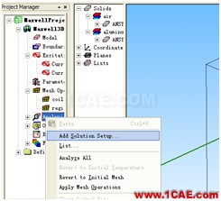 ANSYS Workbench與Ansoft Maxwell 電磁結構耦合案例Maxwell仿真分析圖片24