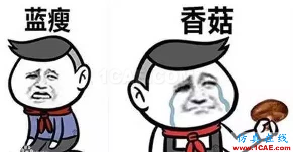 什么？軟件不會！藍瘦、香菇！快來MIDAS學(xué)習(xí)啦！~MIDAS 2016 新疆橋梁技術(shù)交流會Midas Civil分析案例圖片2