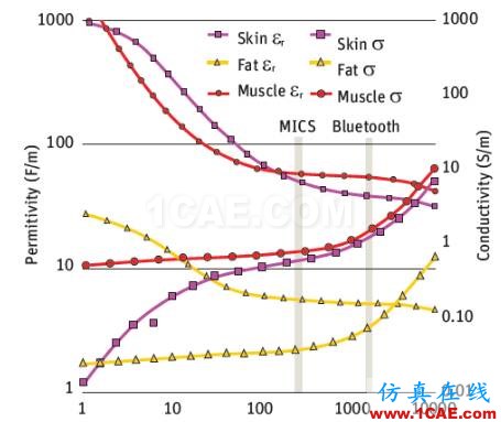 ANSYS在醫(yī)療健康行業(yè)的應(yīng)用HFSS結(jié)果圖片7