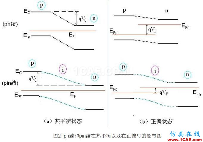 PIN結(jié)與PN結(jié)的特性比較 - 學(xué)習(xí) - 學(xué)習(xí)、學(xué)習(xí)、再學(xué)習(xí)