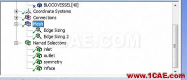 WORKBENCH對血管的流固耦合分析fluent圖片11