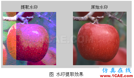 代做畢業(yè)設(shè)計(jì)-MATLAB的條碼、車(chē)牌、指紋、圖像識(shí)別-QQ572426200