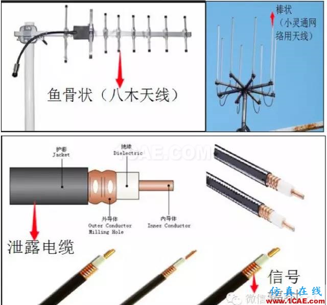 最好的天線基礎(chǔ)知識！超實用 隨時查詢HFSS分析案例圖片12