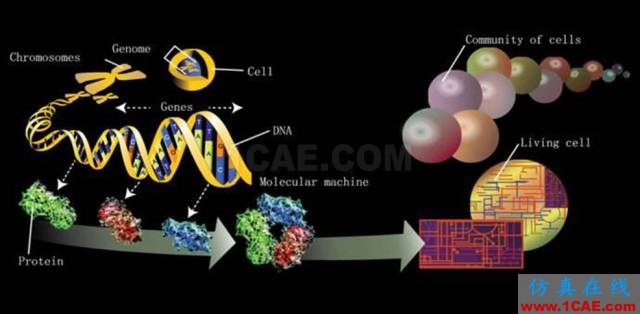 【資訊】強(qiáng)勢(shì)圍觀(guān)！Science公布的125個(gè)科學(xué)前沿問(wèn)題!圖片61