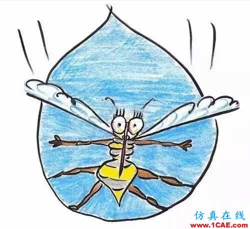 為什么蚊子永遠(yuǎn)不會(huì)被雨砸死？千萬別被孩子問住了！fluent流體分析圖片12